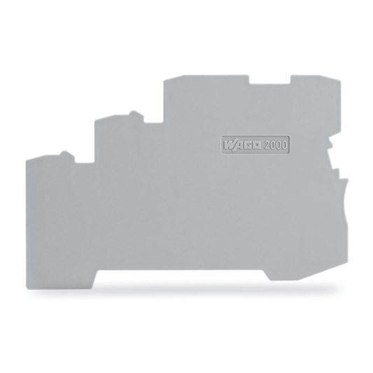 WAGO 2000 - 5391 TOPJOB®S End/Intermediate Plate, 0.7 mm, Gray - PLC ERA